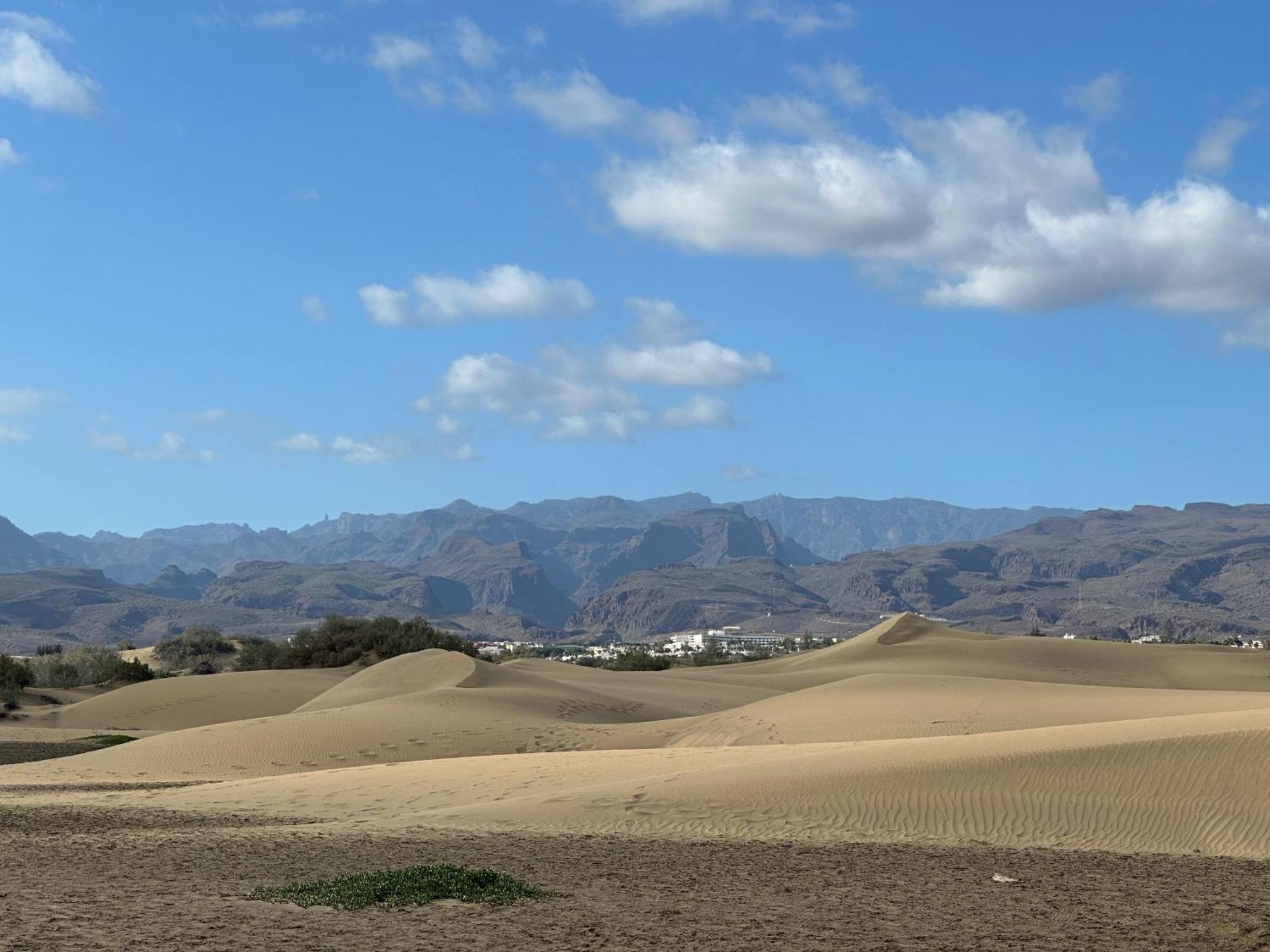 Apartamento Tamaran Sky Playa del Ingles  Dış mekan fotoğraf