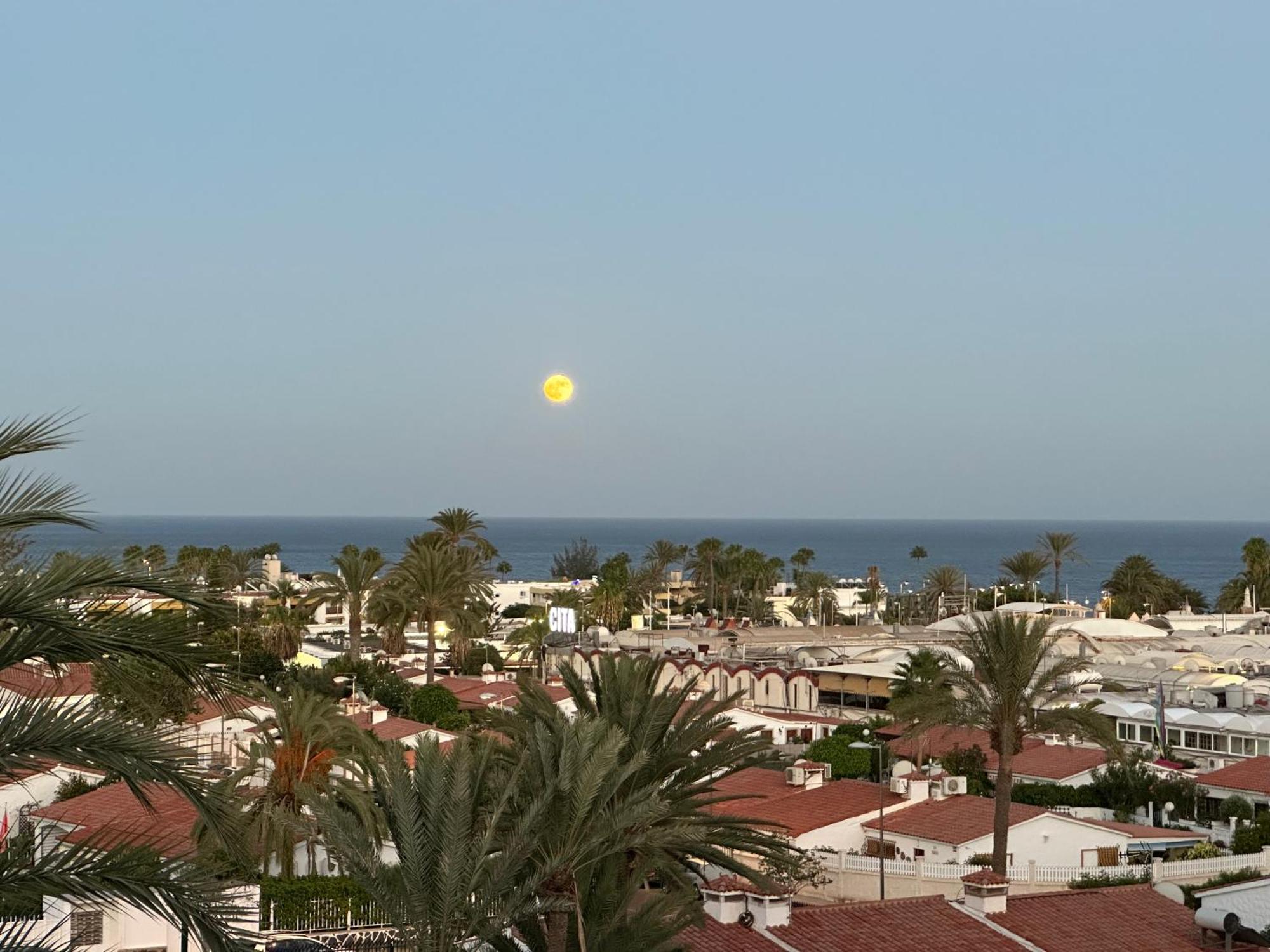 Apartamento Tamaran Sky Playa del Ingles  Dış mekan fotoğraf
